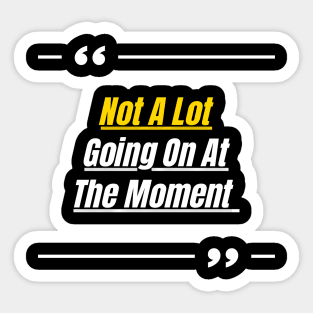 Great Funny Sarcastic Quote | Not a Lot Going on At the Moment | Moment Funny Vintage Distressed Sticker